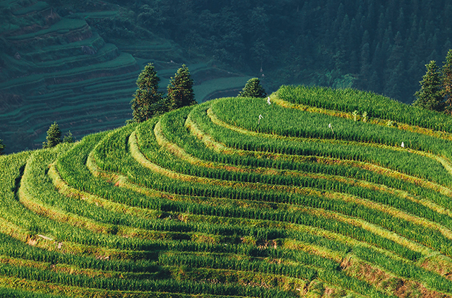 1664355900431708.jpg 640.jpg