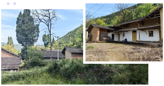 1681717009251511.jpg 640.jpg